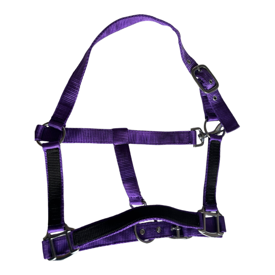 2 Tone Nylon Headcollar with Matching Lead Rope - 3 Colours to Choose From