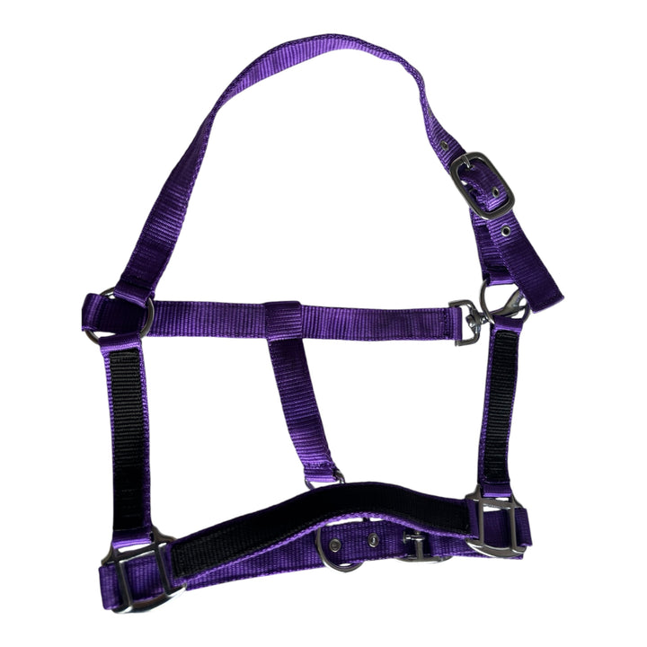 2 Tone Nylon Headcollar with Matching Lead Rope - 3 Colours to Choose From