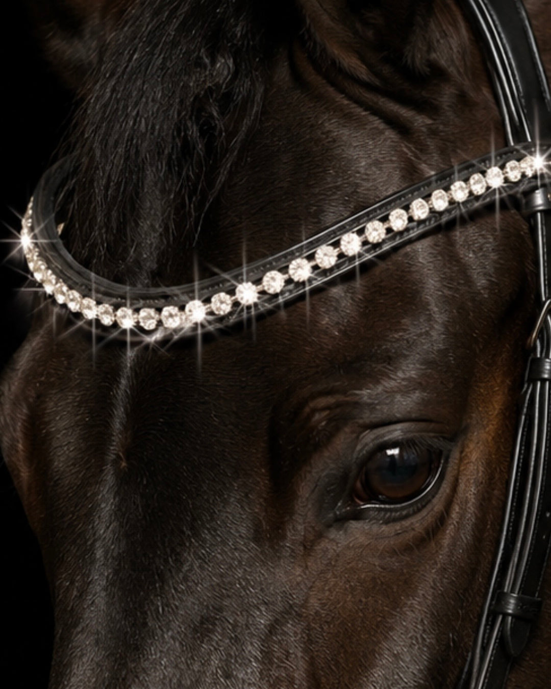 HRS Stunning Crystal/Diamante Browband on Black Leather
