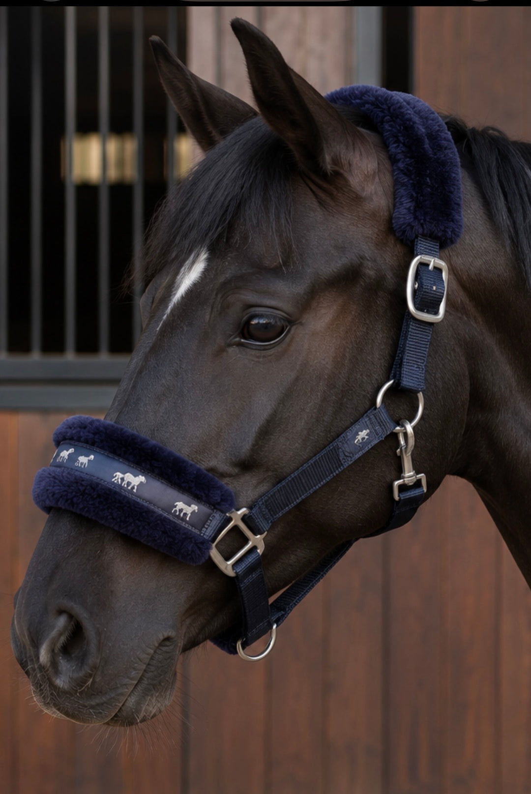 Gorgeous Fluffy Padded Navy Headcollar by Rhinegold - Size Pony - LAST ONE