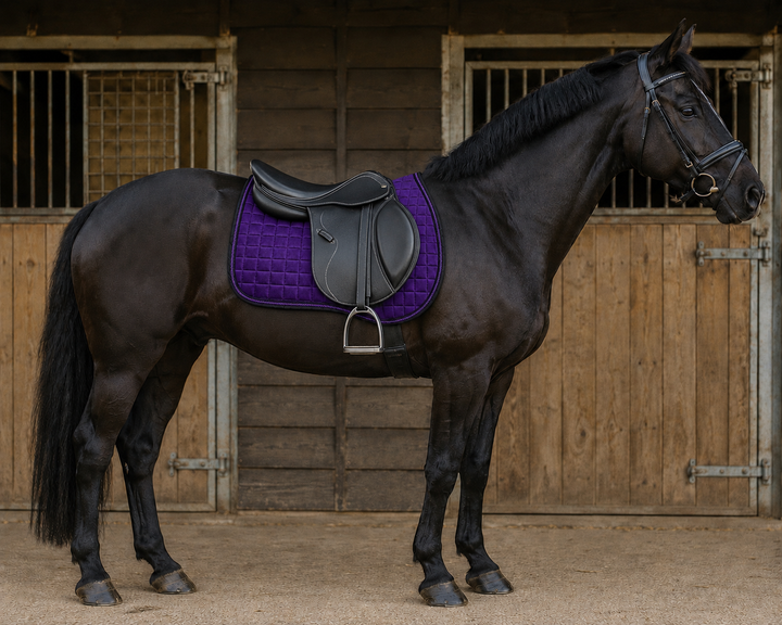 Close Contact GP/Jumping Cotton Saddle Pads - Purple & Black