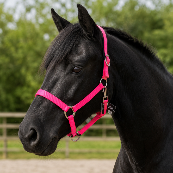 HKM Stars Softice Headcollar & Leadrope Set - Neon Pink