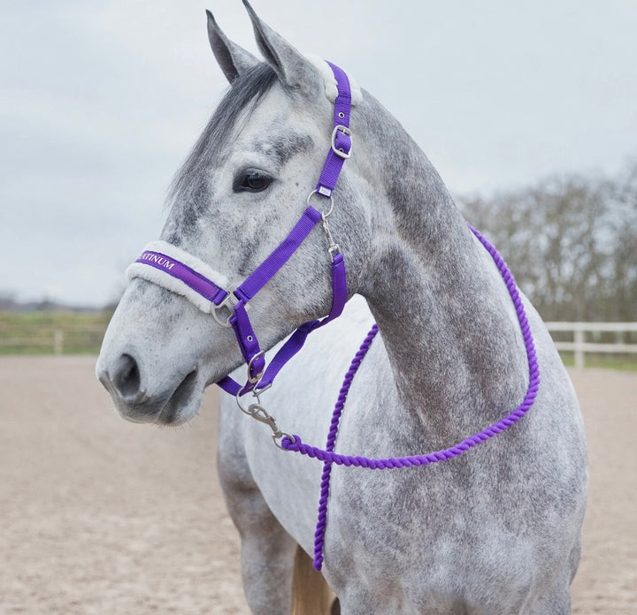 Horze Howard Quality Headcollar and Lead Rope - Purple/Cream or Blue/Cream
