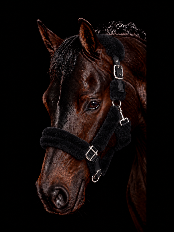 HKM Comfort Fluffy Padded Headcollar & Lead