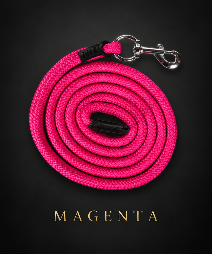 Carlotta Headcollar & Lead Set by HKM - New Colours For Autumn/Winter 2026 - Pink, Petrol & Royal Blue