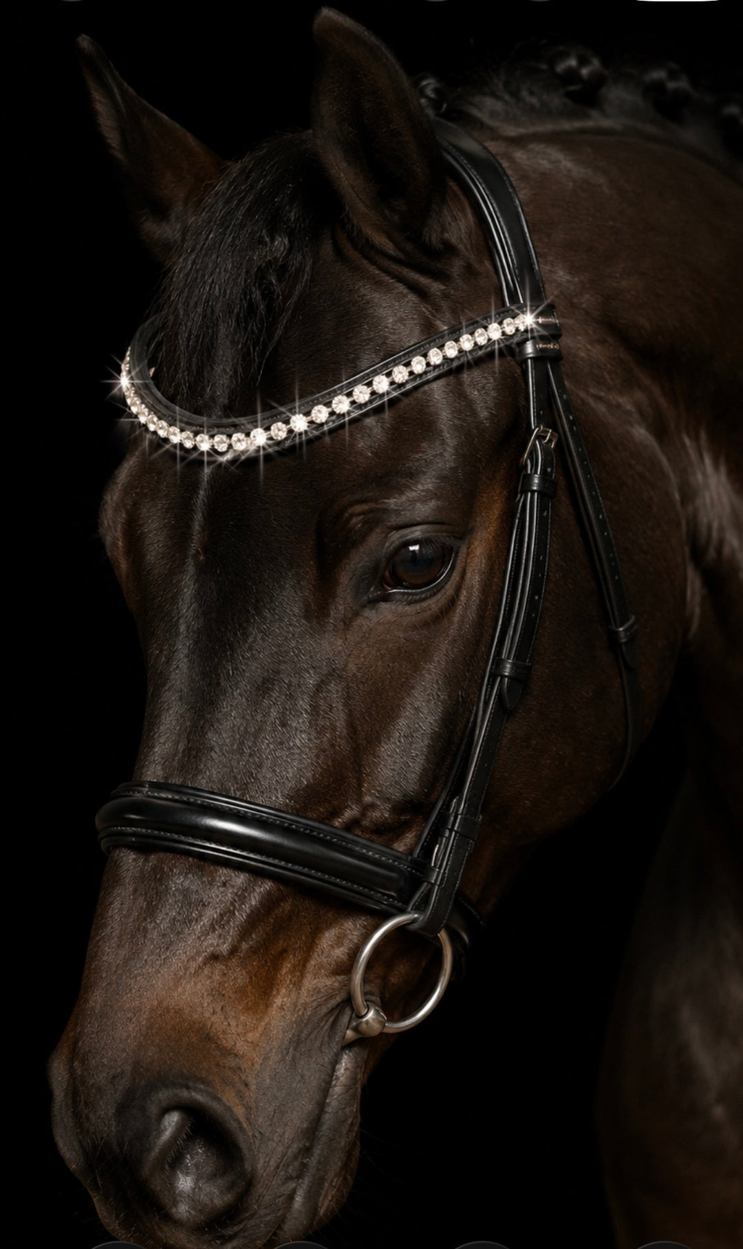 HRS Stunning Crystal/Diamante Browband on Black Leather