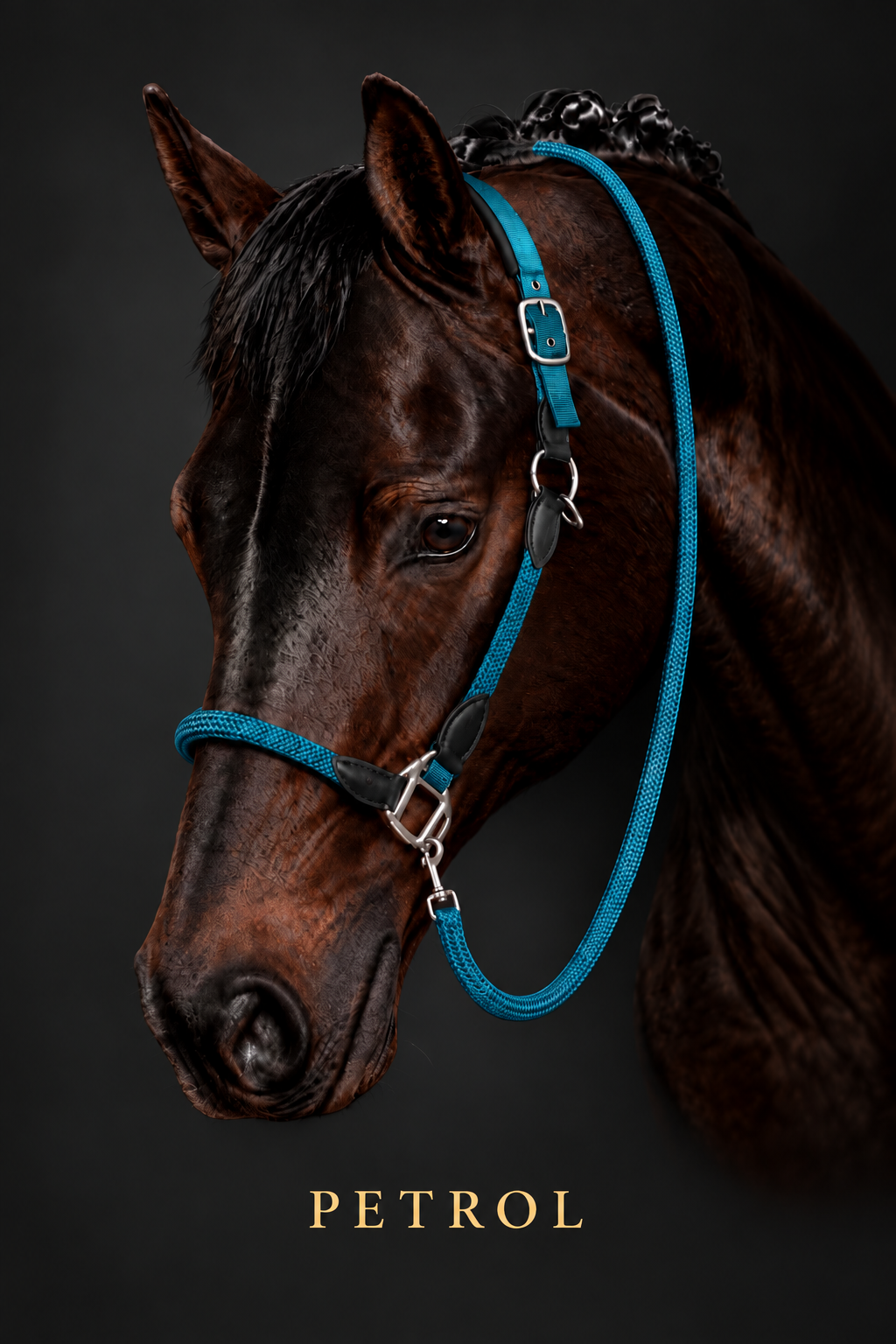 Carlotta Headcollar & Lead Set by HKM - New Colours For Autumn/Winter 2026 - Pink, Petrol & Royal Blue