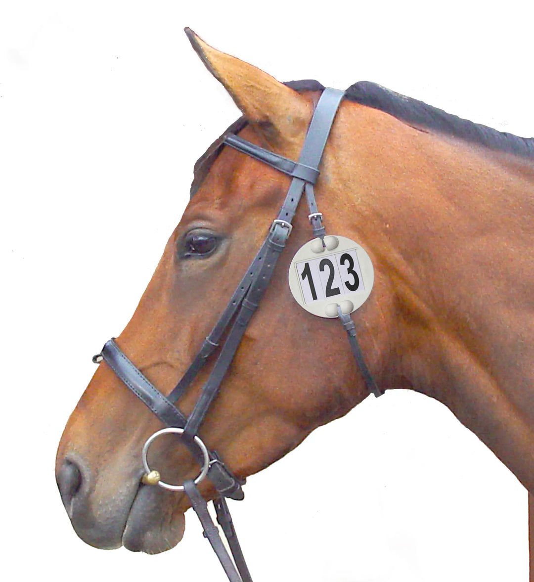 Equidisc Competition Number Holder for the Bridle - 3 Digits - BD Approved