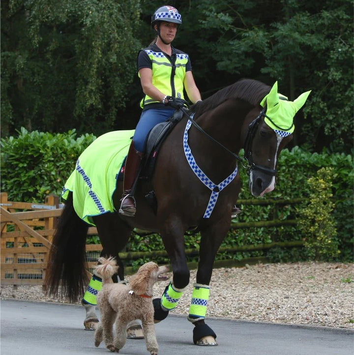 Equisafety POLITE Waistcoat - Please Pass Wide and Slow on Back - VERY Popular!