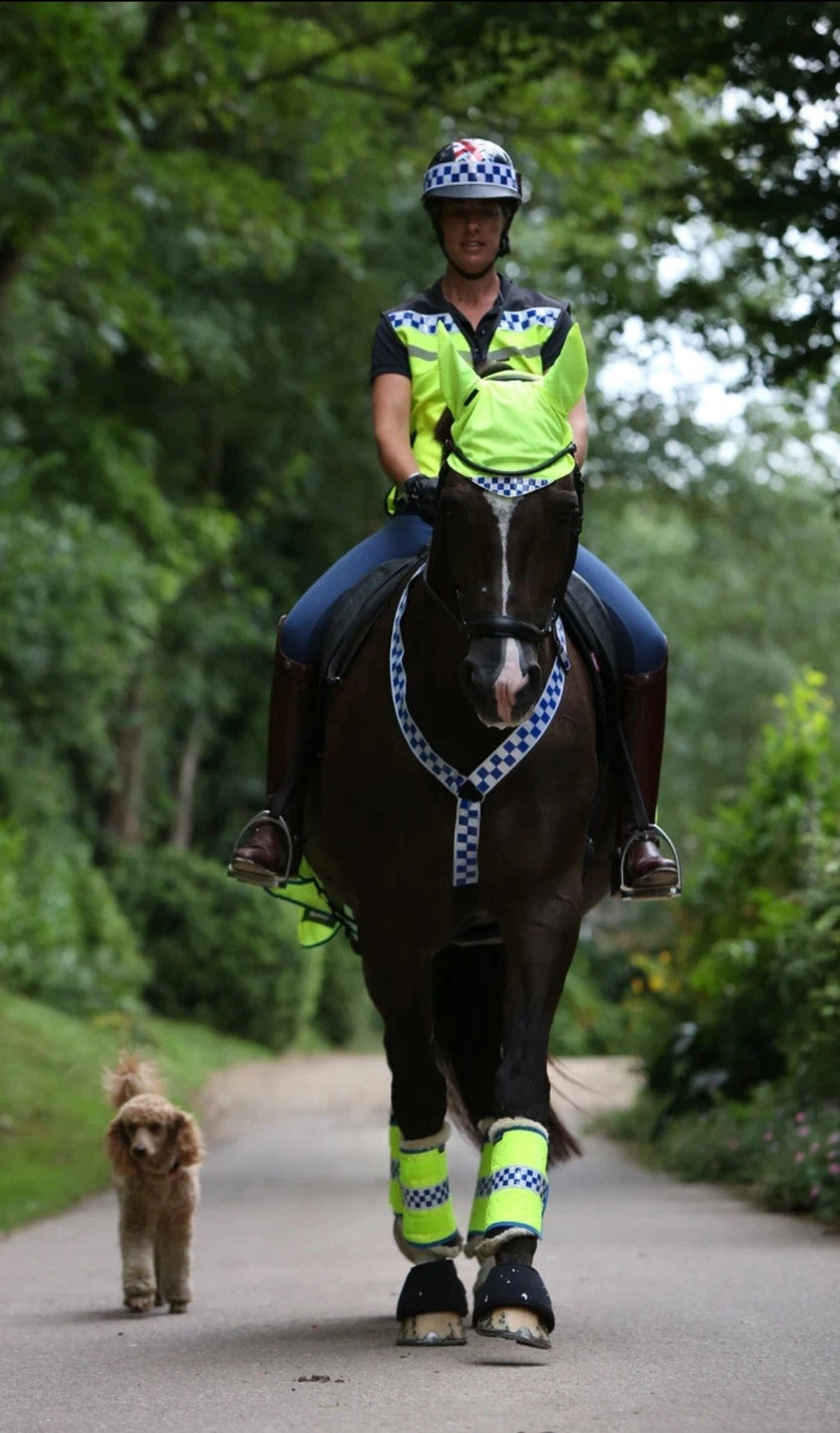 Equisafety POLITE Leg Wraps - Neon Yellow - Pony/Cob & Full - BE SAFE BE SEEN!