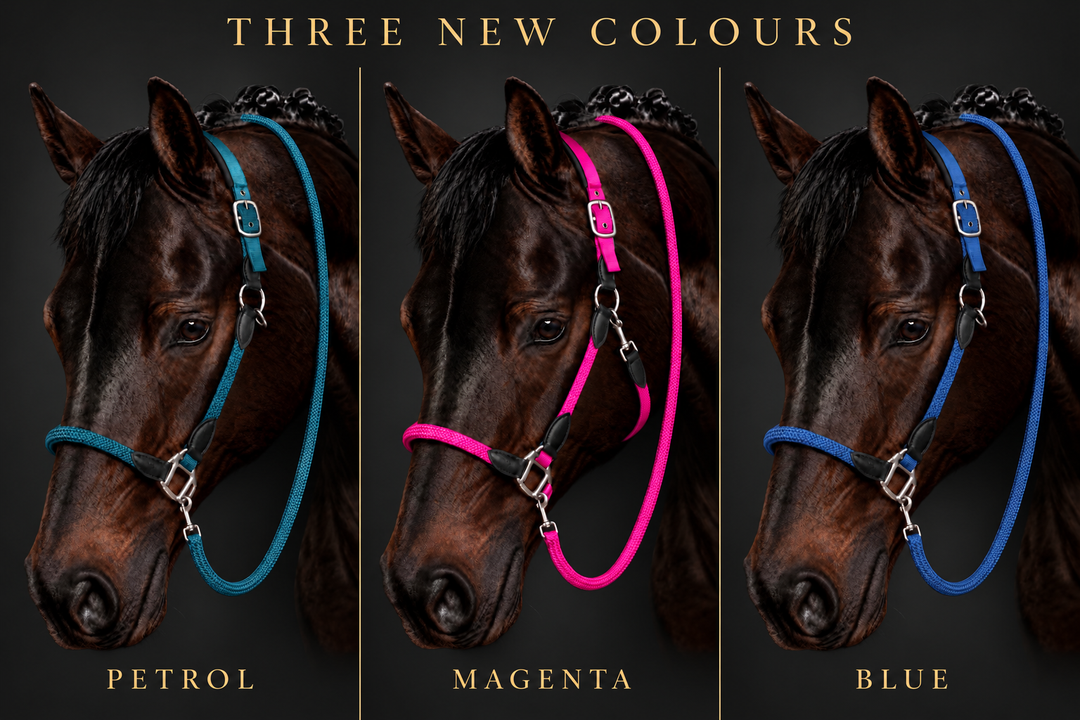 Carlotta Headcollar & Lead Set by HKM - New Colours For Autumn/Winter 2026 - Pink, Petrol & Royal Blue