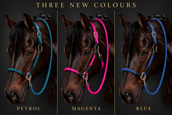 Carlotta Headcollar & Lead Set by HKM - New Colours For Autumn/Winter 2026 - Pink, Petrol & Royal Blue