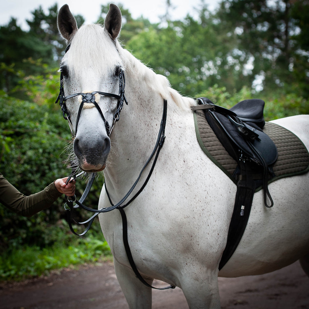 Gallop Black Leather Running Martingale - Black - Sizes Pony/Cob/Full— LOW PRICE
