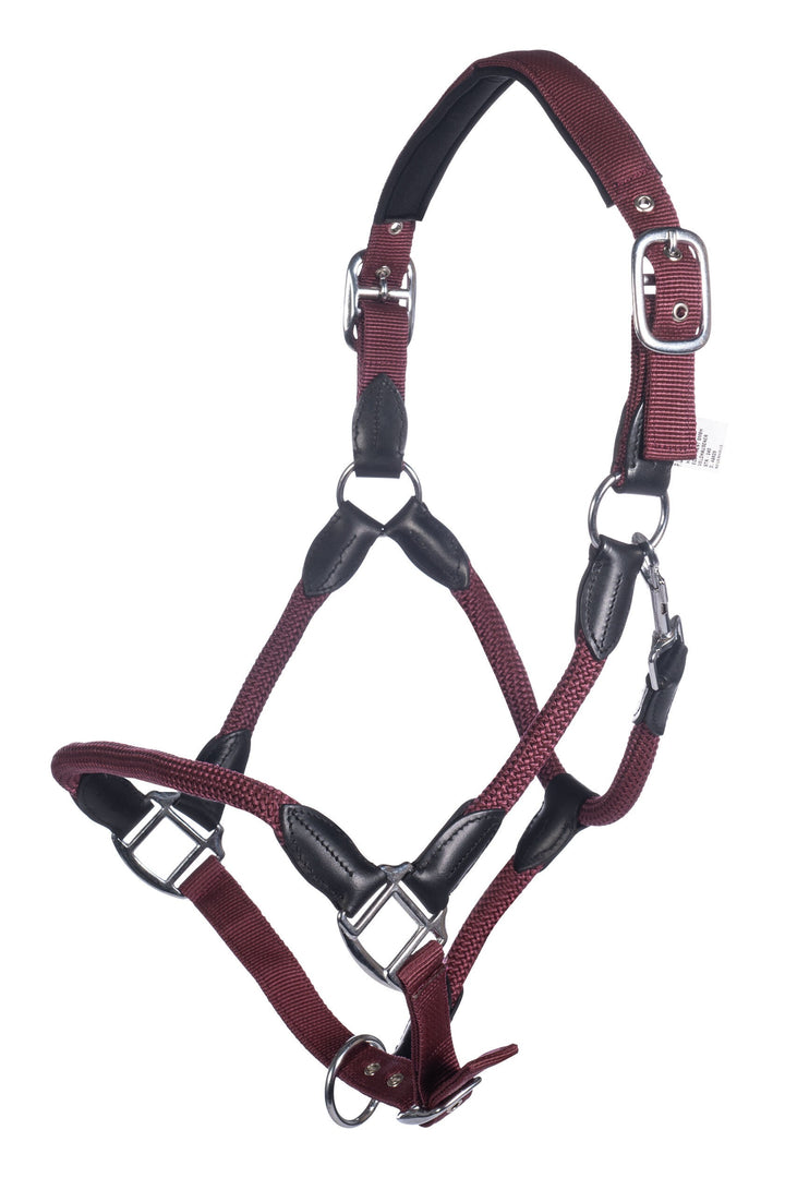 Gorgeous  Carlotta Headcollar & Lead Set by HKM - Very Popular