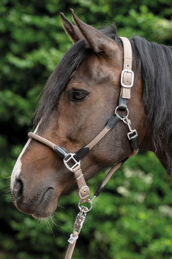 Gorgeous  Carlotta Headcollar & Lead Set by HKM - Very Popular