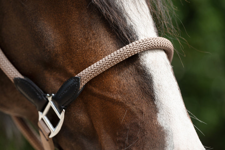 Gorgeous  Carlotta Headcollar & Lead Set by HKM - Very Popular