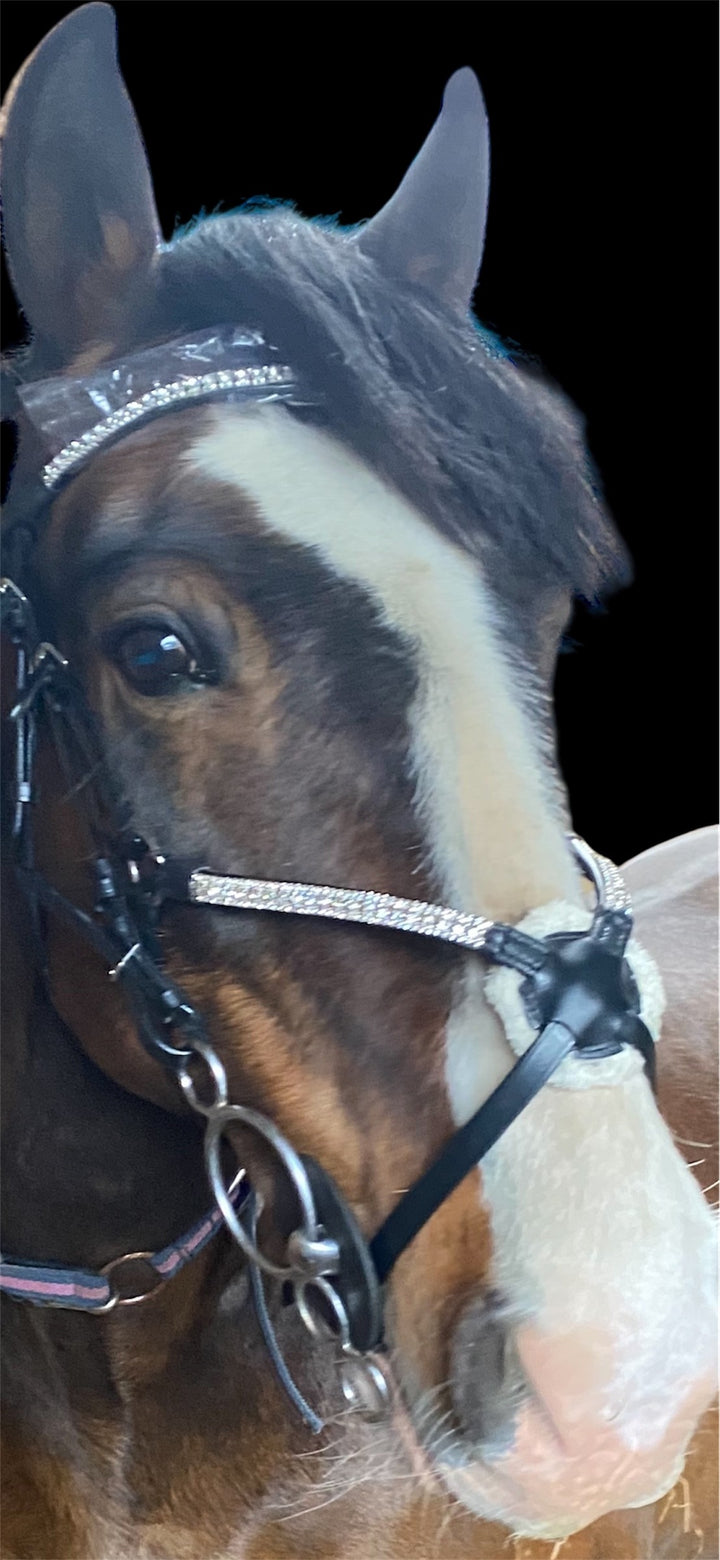 HRS Gorgeous Crystal/diamante Grackle Leather Noseband on Black or Brown Leather