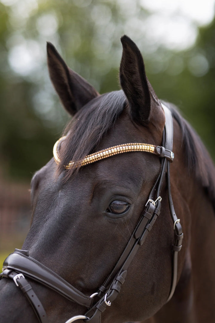 Horze Gold Clincher with Crystal Edging Browband on Black Leather