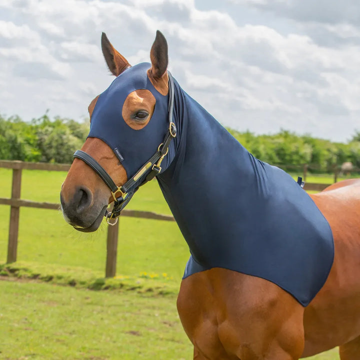 Hy Equestrian Lycra Flex Hood - Navy - Size Cob - Great for Shows &Anti Mane Rub
