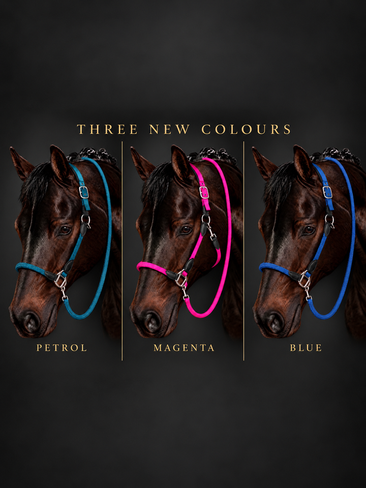 Carlotta Headcollar & Lead Set by HKM - New Colours For Autumn/Winter 2026 - Pink, Petrol & Royal Blue