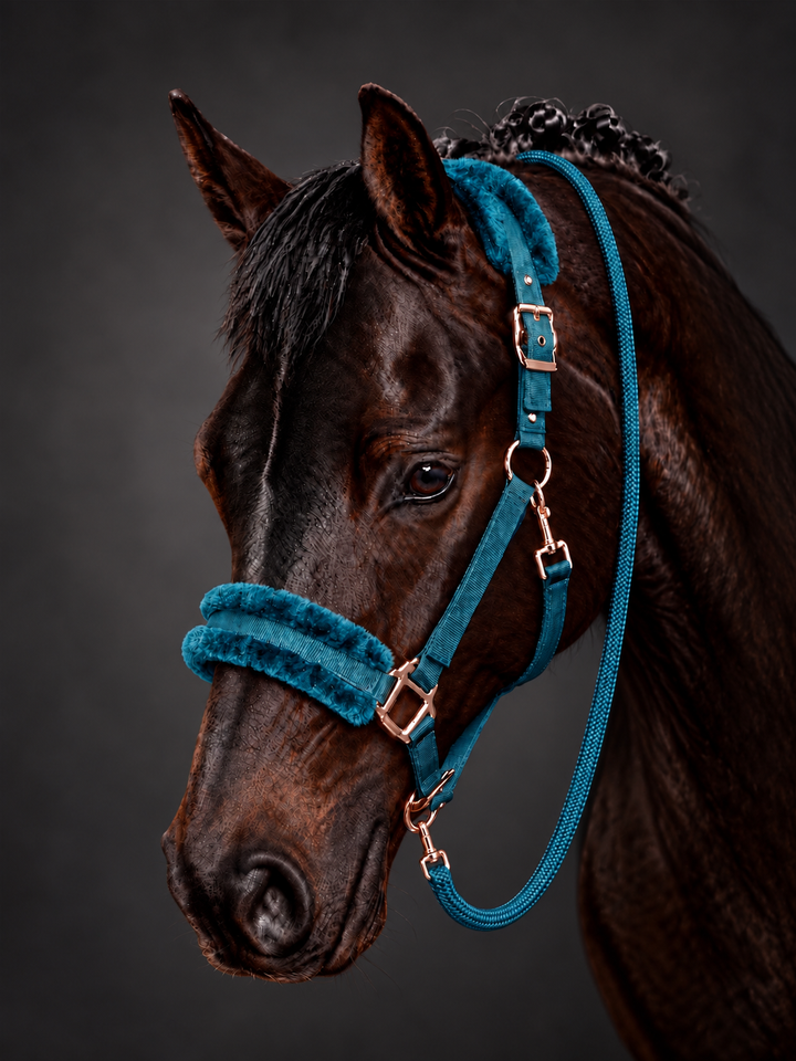 Rosegold Glamour Headcollar & Leadrope Set - Pterol/Rose Gold - Stunning New Colour