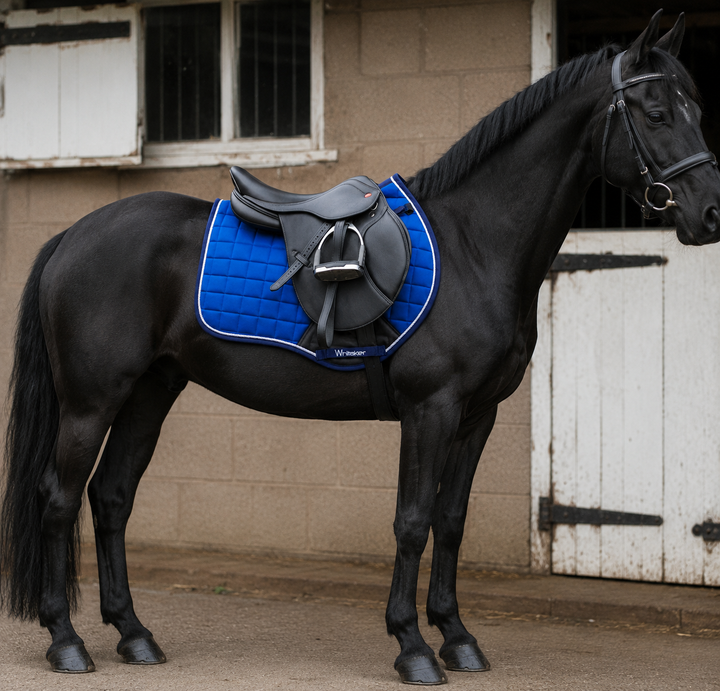 Whitaker SC160 Club Close Contact Saddle Pad Royal Blue