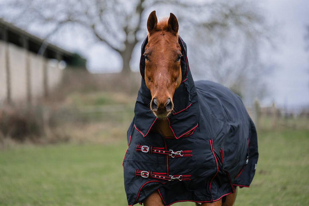 Rhinegold Aspen Heavyweight Combo Turnout Rug - 350g fill - black/red