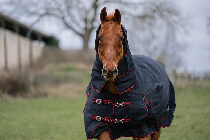 Rhinegold Aspen Heavyweight Combo Turnout Rug - 350g fill - black/red