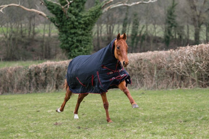 Rhinegold Aspen Heavyweight Combo Turnout Rug - 350g fill - black/red