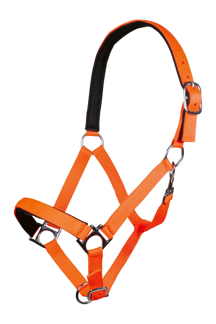 HKM Stars Softice Padded Headcollar & Lead Rope Set - Neon Orange
