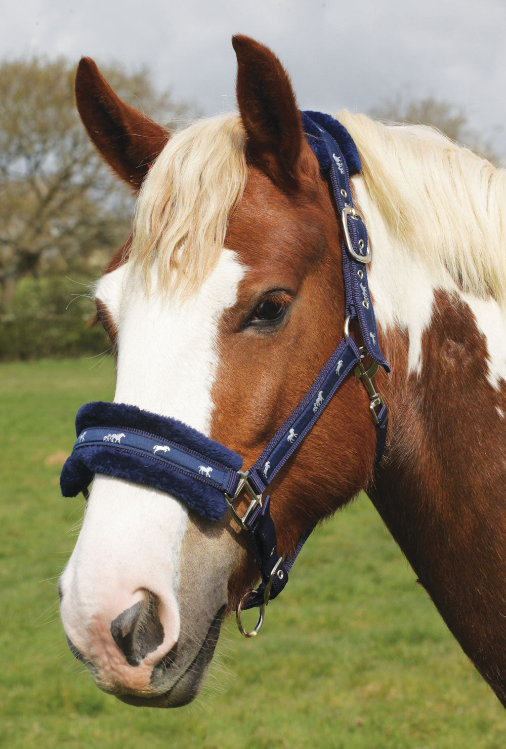 Gorgeous Fluffy Padded Navy Headcollar by Rhinegold - Size Pony - LAST ONE