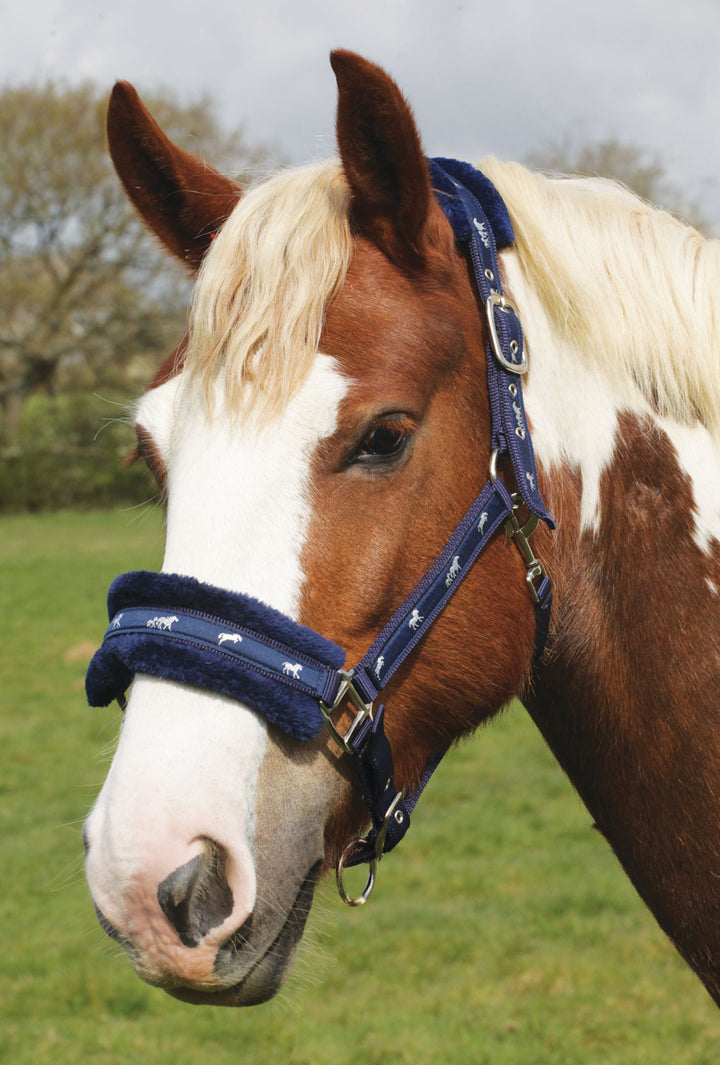 Gorgeous Fluffy Padded Navy Headcollar by Rhinegold - Size Pony - LAST ONE